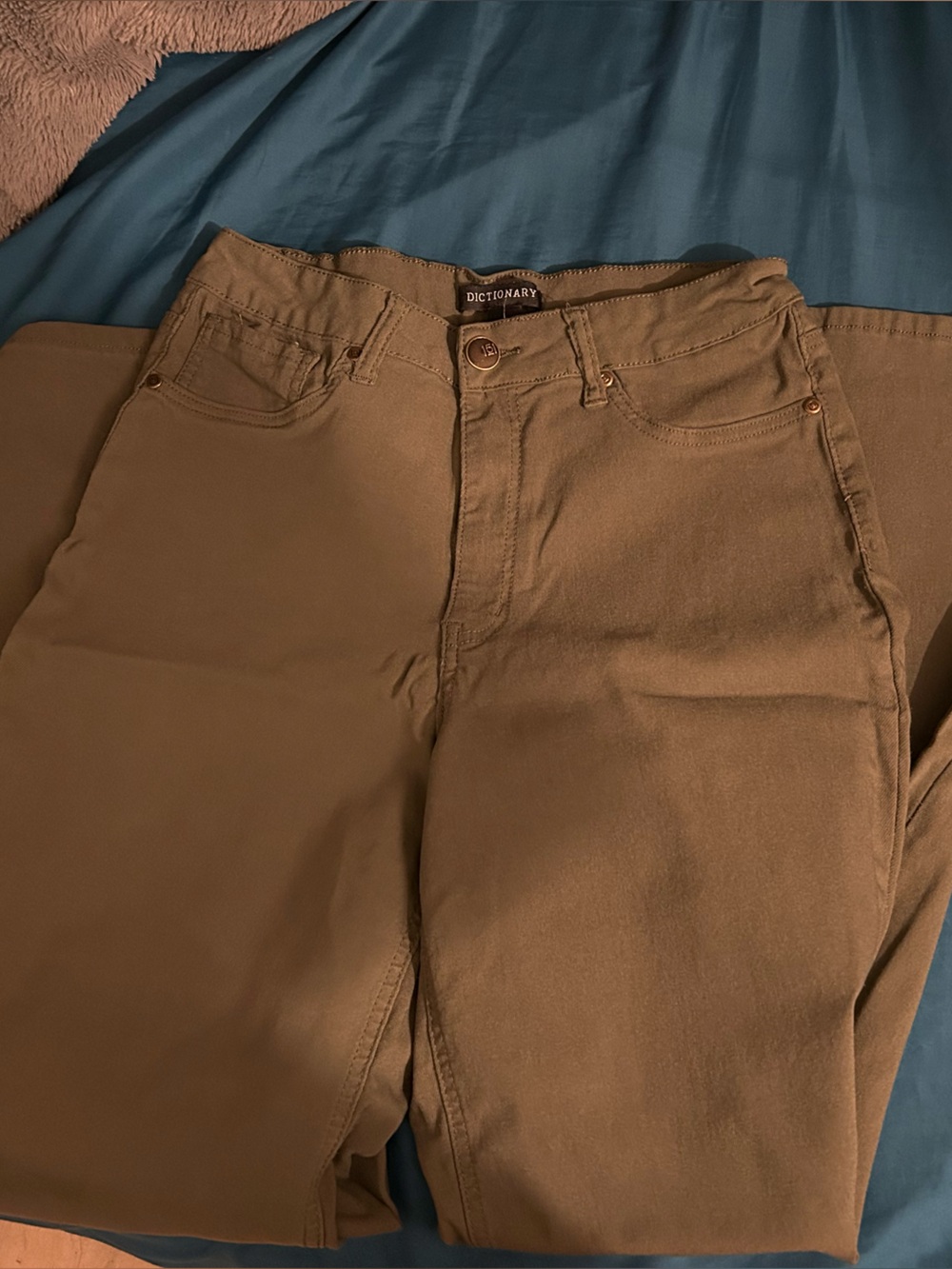 Dictionary High-Rise Wide Leg Jeans in green